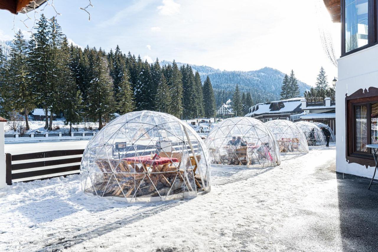 Vila Miorita Poiana Brasov Exteriör bild